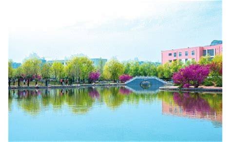 河南科技大学自考课程