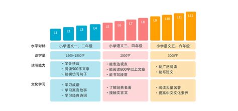 小学语文个性化提高课程