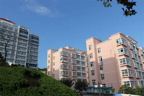 青岛科技大学成人高考课程