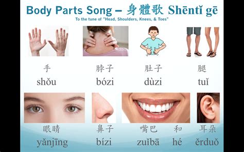 中小学语文特色课程