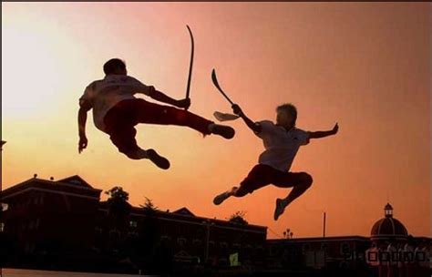 中华传统武术精品课程