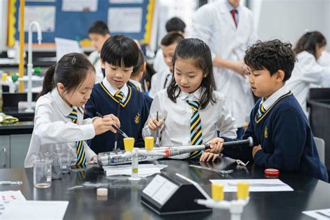 双语小学课程