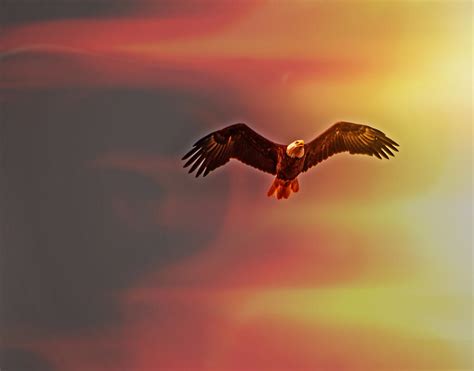 2023考研秋季鹰飞集训营