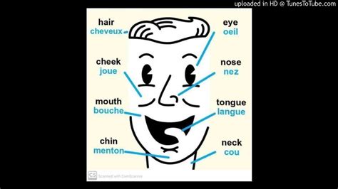 法语A1-B2精品出国课程