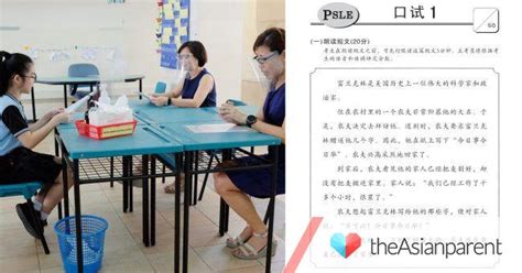 汉语口语1对2强化课程