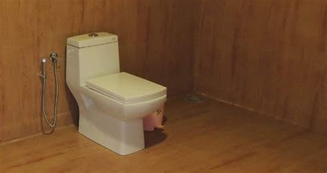 50小时阿斯汤伽精品课程