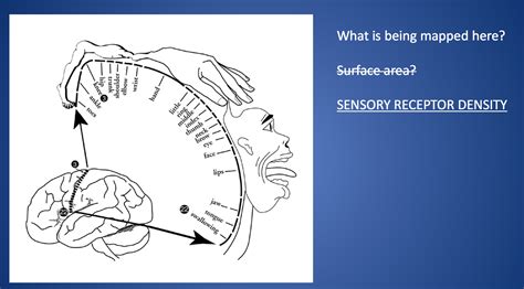 心理高端定制课程