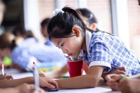 学习能力提升训练