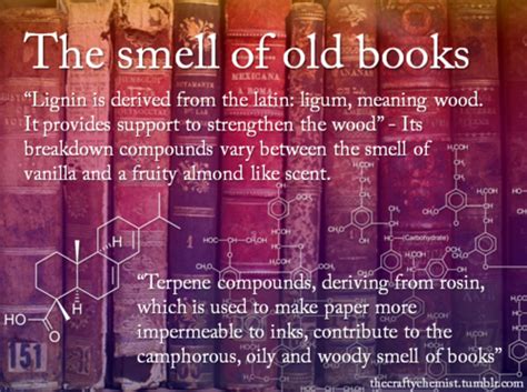 美术定制兴趣特色课程