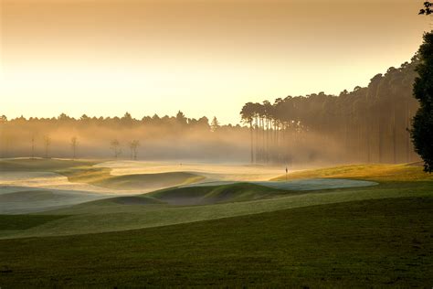 日本东京经典7天游学项目