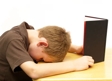 小动作注意力多动矫正定制课程