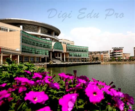 西南科技大学专升本远程教育课程