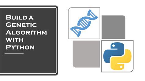 信奥python算法课程