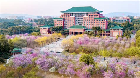 华南农业大学自考提升课程