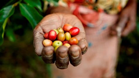 家庭营养知识专修课程