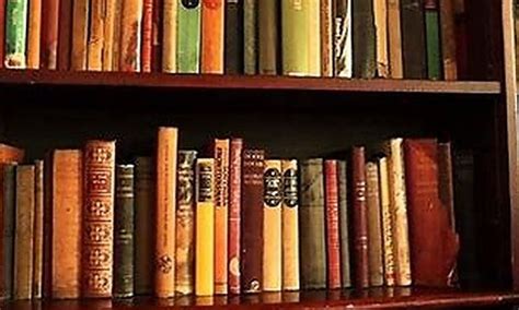 高中文综1对1综合提升课程