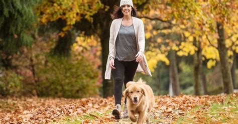 澳洲留学本科直通车项目