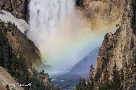 大众摄影兴趣培训课程