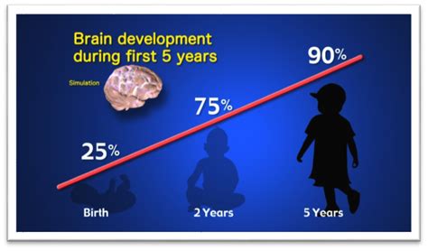 0-3岁亲子全脑开发早教课程