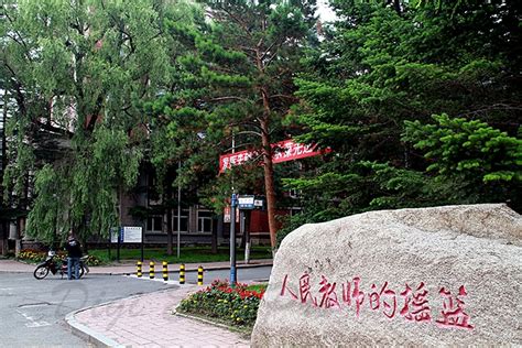 东北师范大学远程教育课程