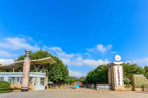 番禺职业技术学院高起专课程