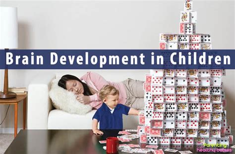 3-8岁少儿全脑潜能开发课程