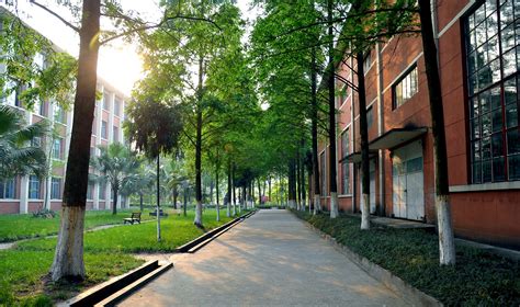 西南交通大学自学考试培训课程