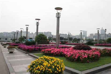 内江师范学院自学考试课程