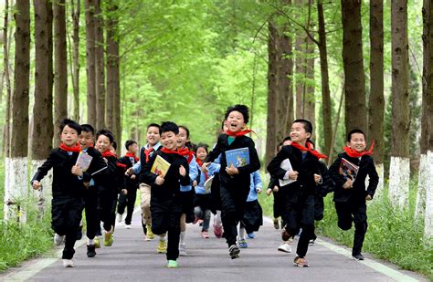 小学语文一对四精品课程