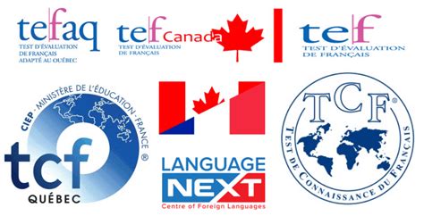 TCF/TEF考试冲刺课程