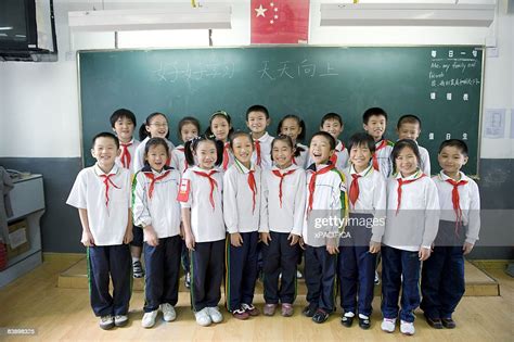 小学语文定制课程