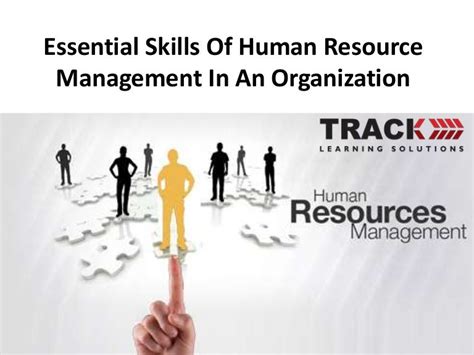 人力资源管理师技能初阶课程