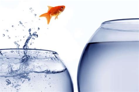 日语高级N1精品课程