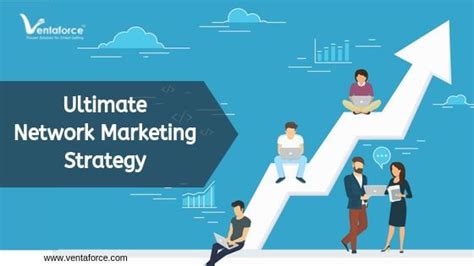 网络营销专项课程