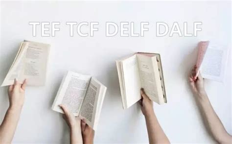 TEF/TCF精品冲刺课程