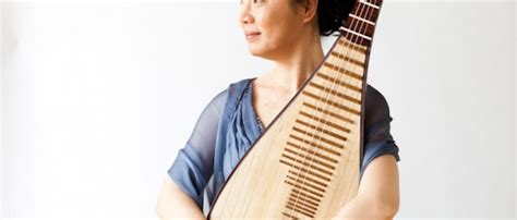 琵琶演奏系统课程
