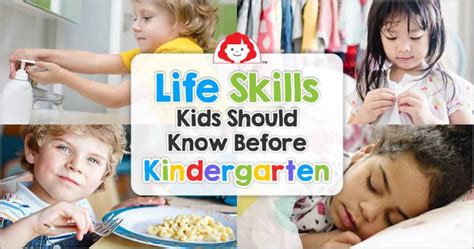 2-4宝宝入园准备早教课程