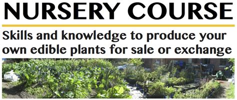 2-3岁IC全日制托班课程