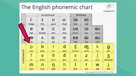 英语音标语法基础课程