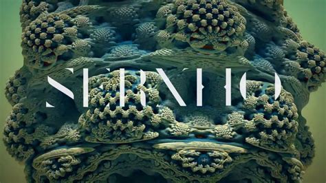 音乐艺考器乐体验课程