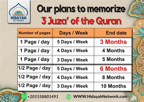 高级英语口语外教定制课程