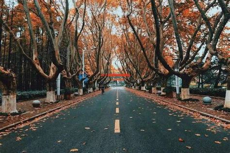 南京工业大学成人高考精讲课程