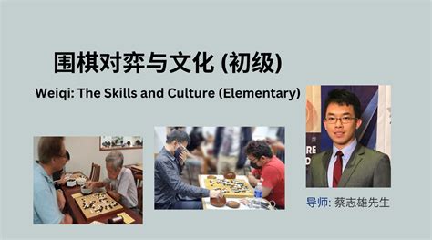 4-10岁少儿围棋高级课程