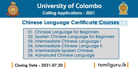 对外汉语高级资格证特色课程