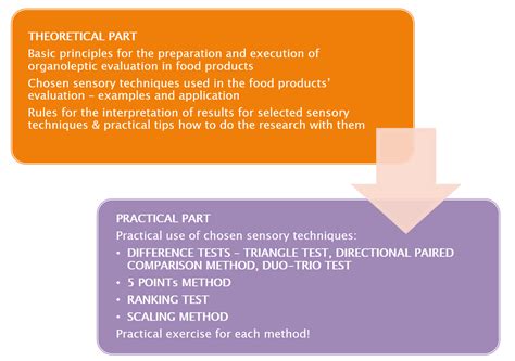 25-36个月感官训练早教课程