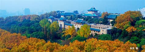 国家重点大学自考精品课程