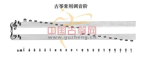 古筝基础入门课程