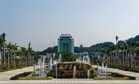 福建农林大学成考课程