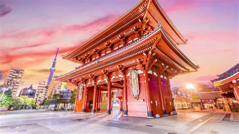 日本东京游学特色课程