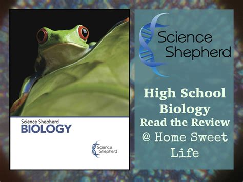 高中生物1对1强化课程